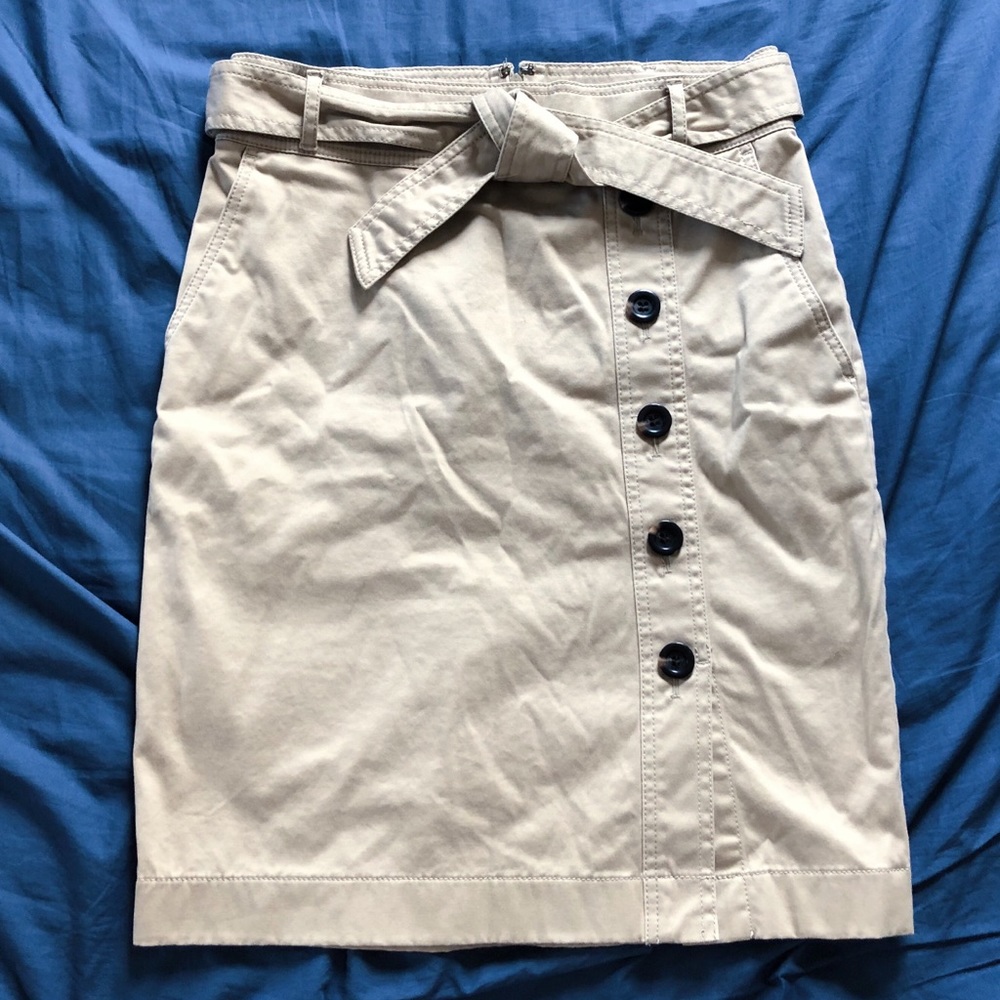 Ann Taylor Skirt Petite